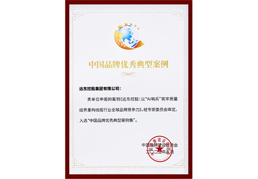 中國品牌優(yōu)秀典型案例